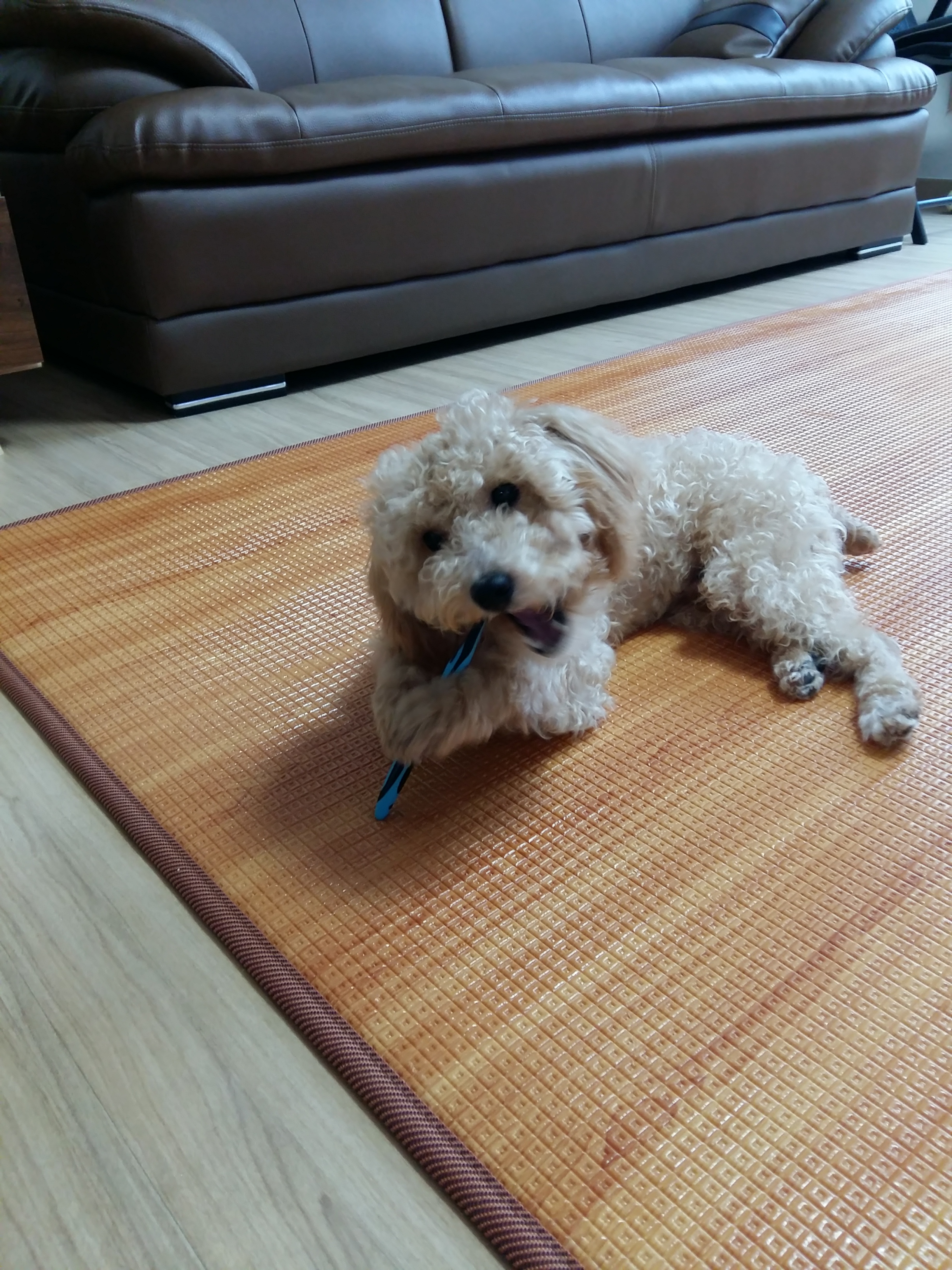 승지(토토)세번째 이야기