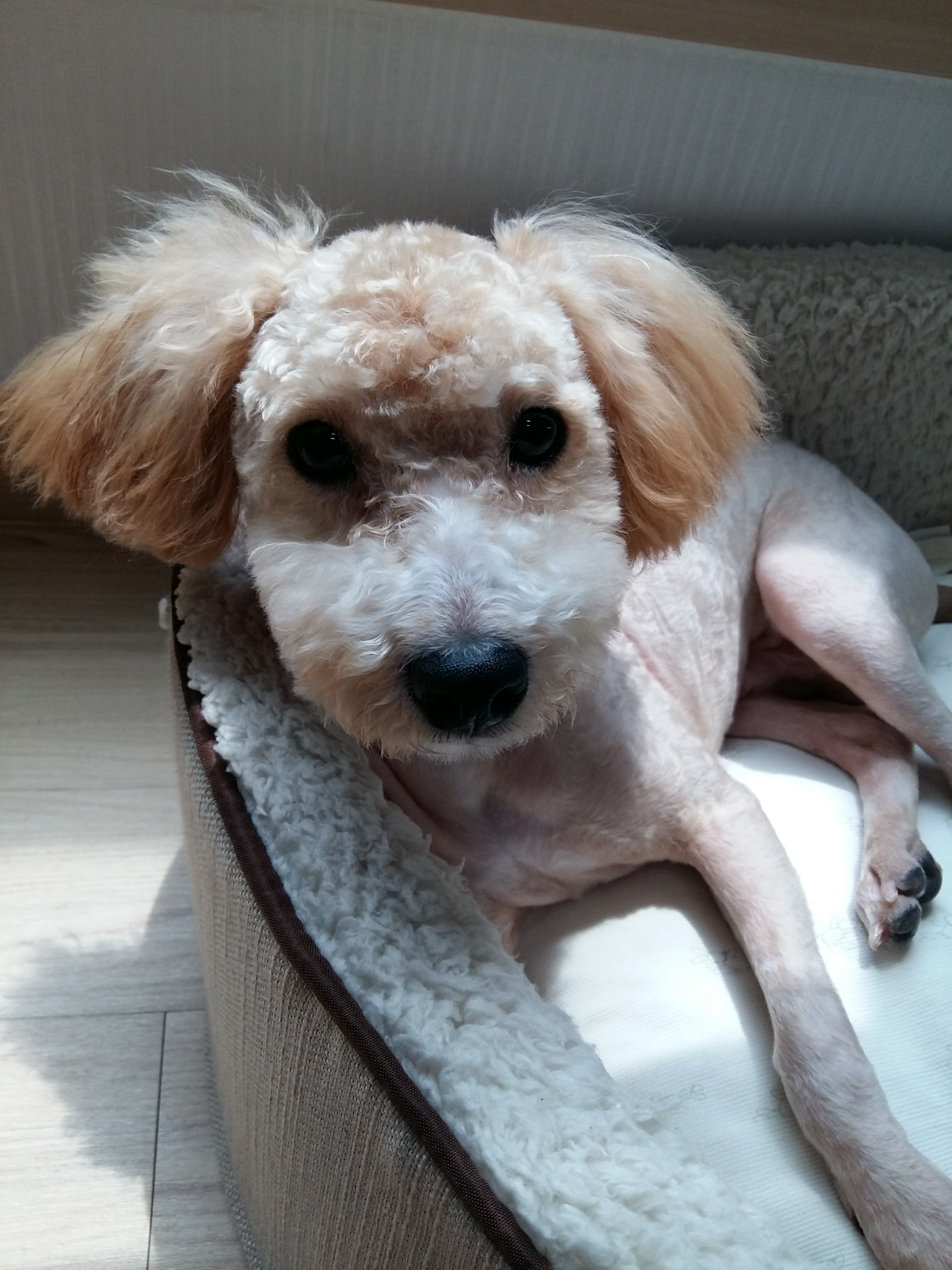 승지(토토)세번째 이야기