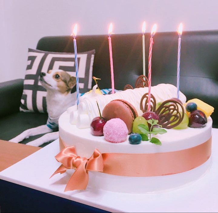 다복이의 5번째 생일^^