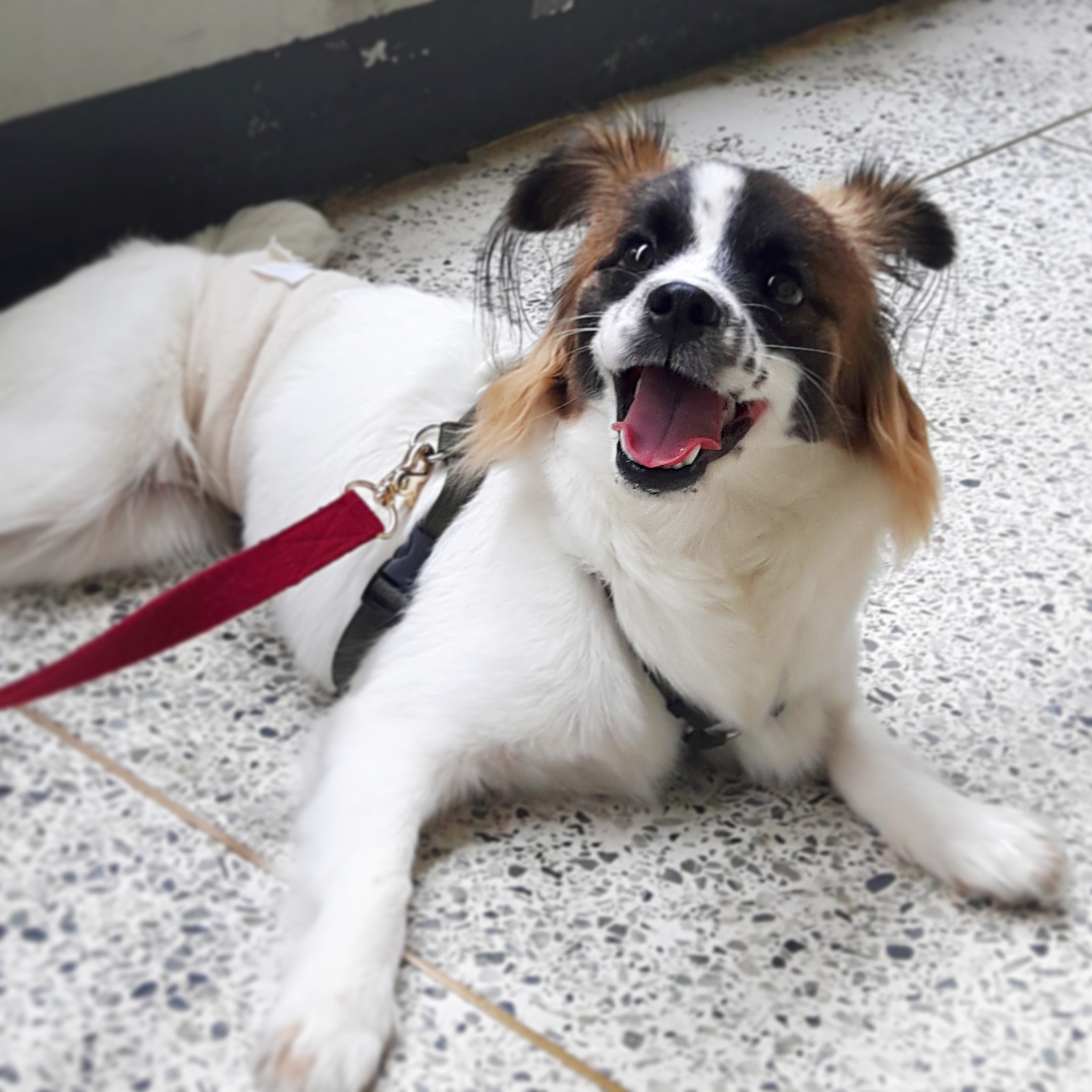 잔치의 세번째 이아기