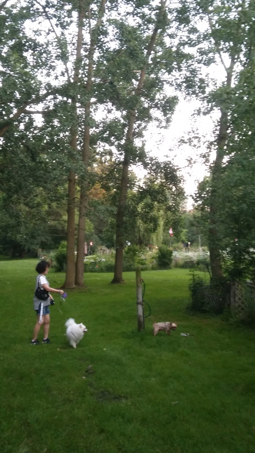 사과와 카라멜 캐나다에서 행복하게 살고있어요