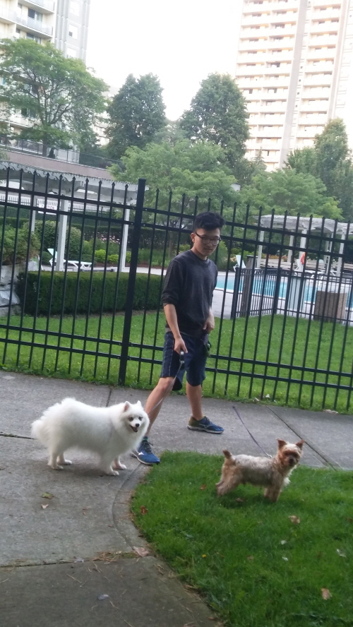 사과와 카라멜 캐나다에서 행복하게 살고있어요