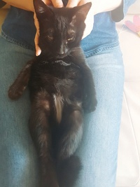 까망이와의 100일