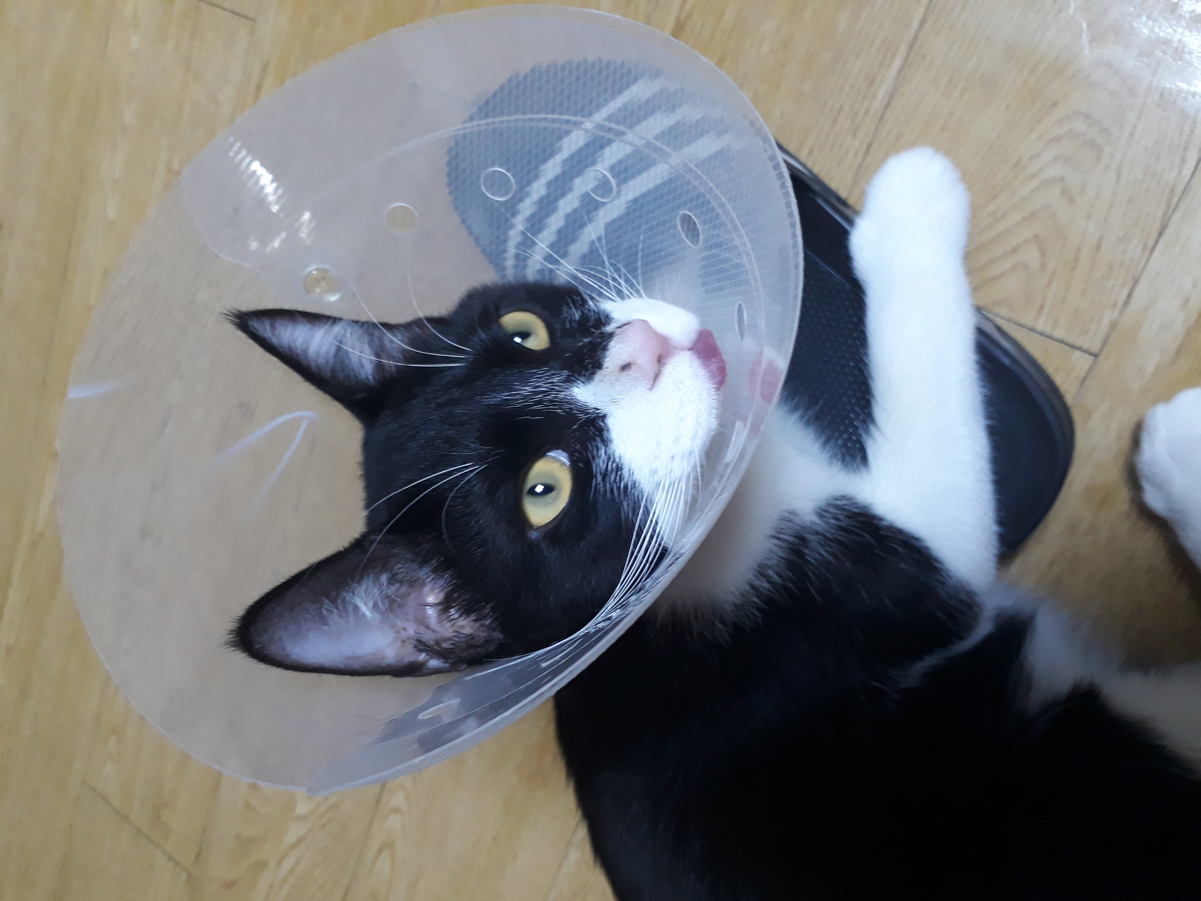 미파와 함께한 3개월