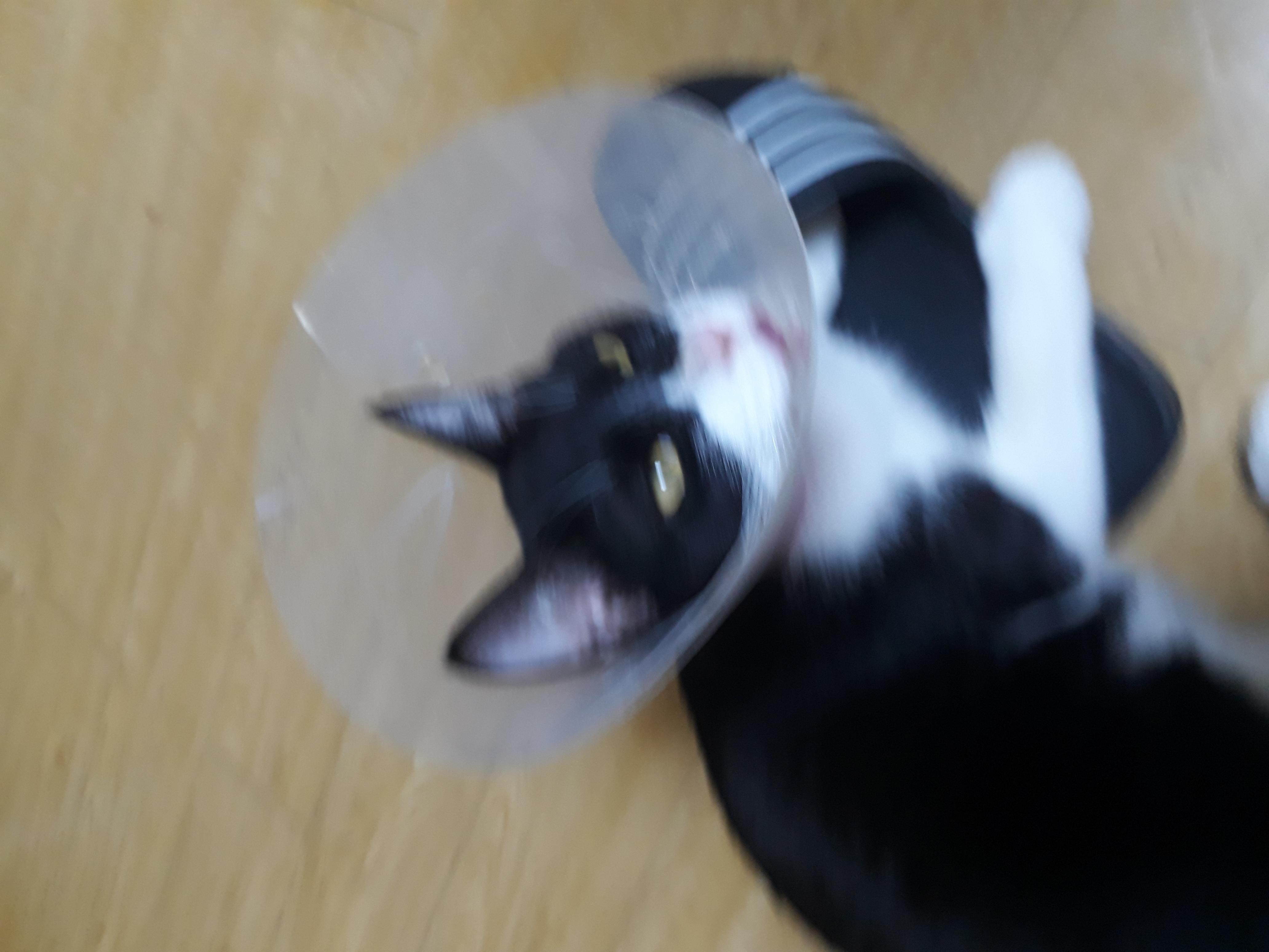 미파와 함께한 3개월