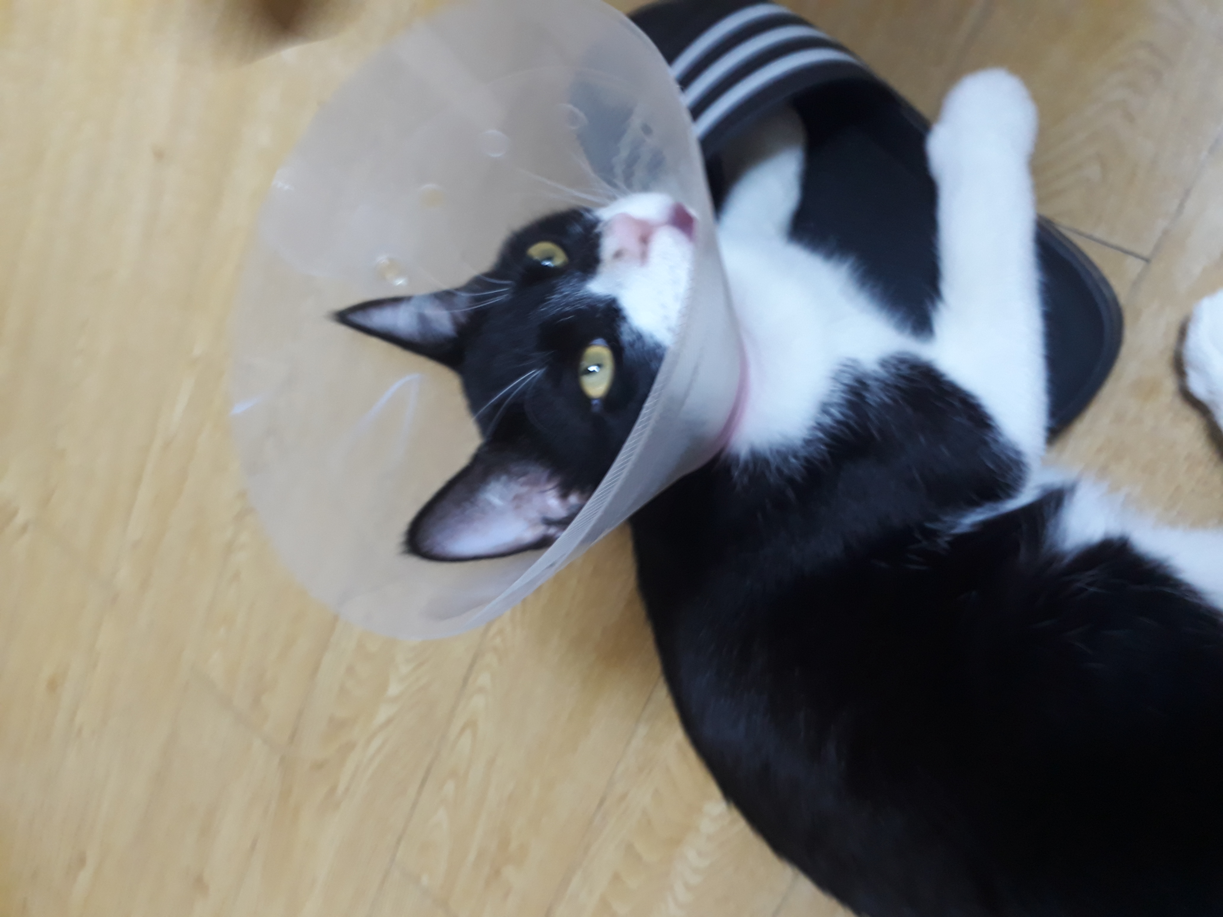 미파와 함께한 3개월