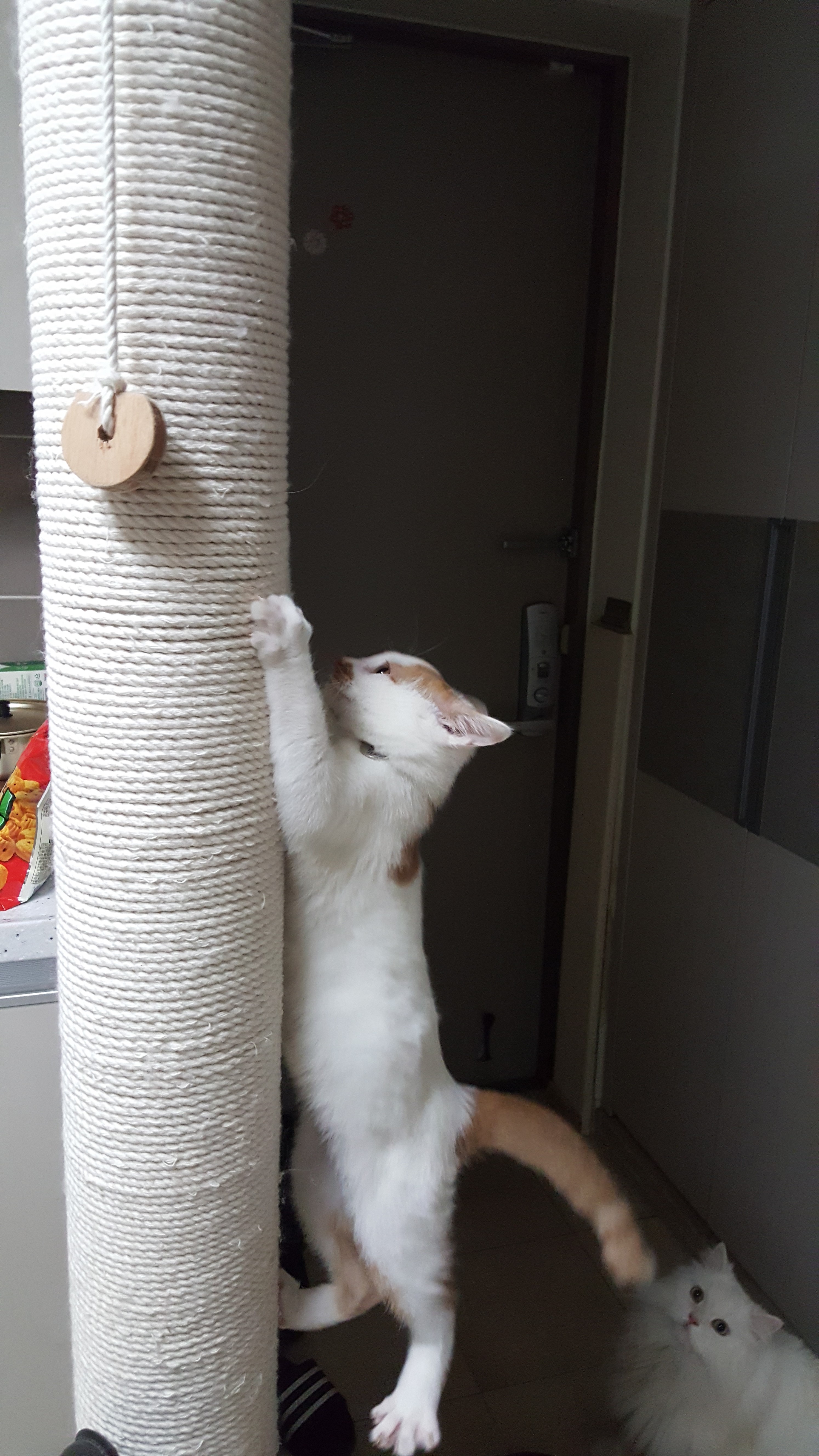 안녕하세요 저는 바로예요