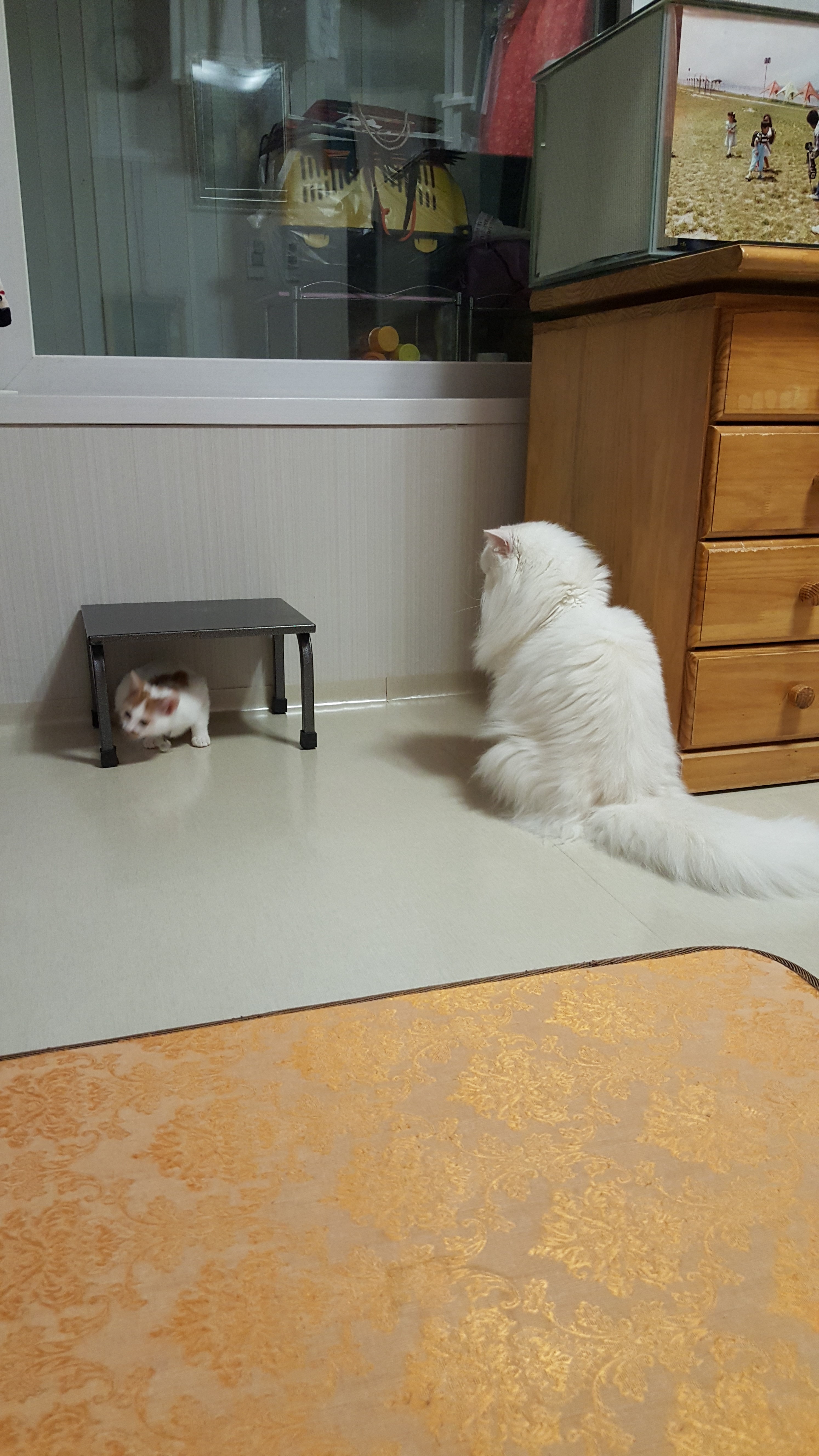 안녕하세요 저는 바로예요