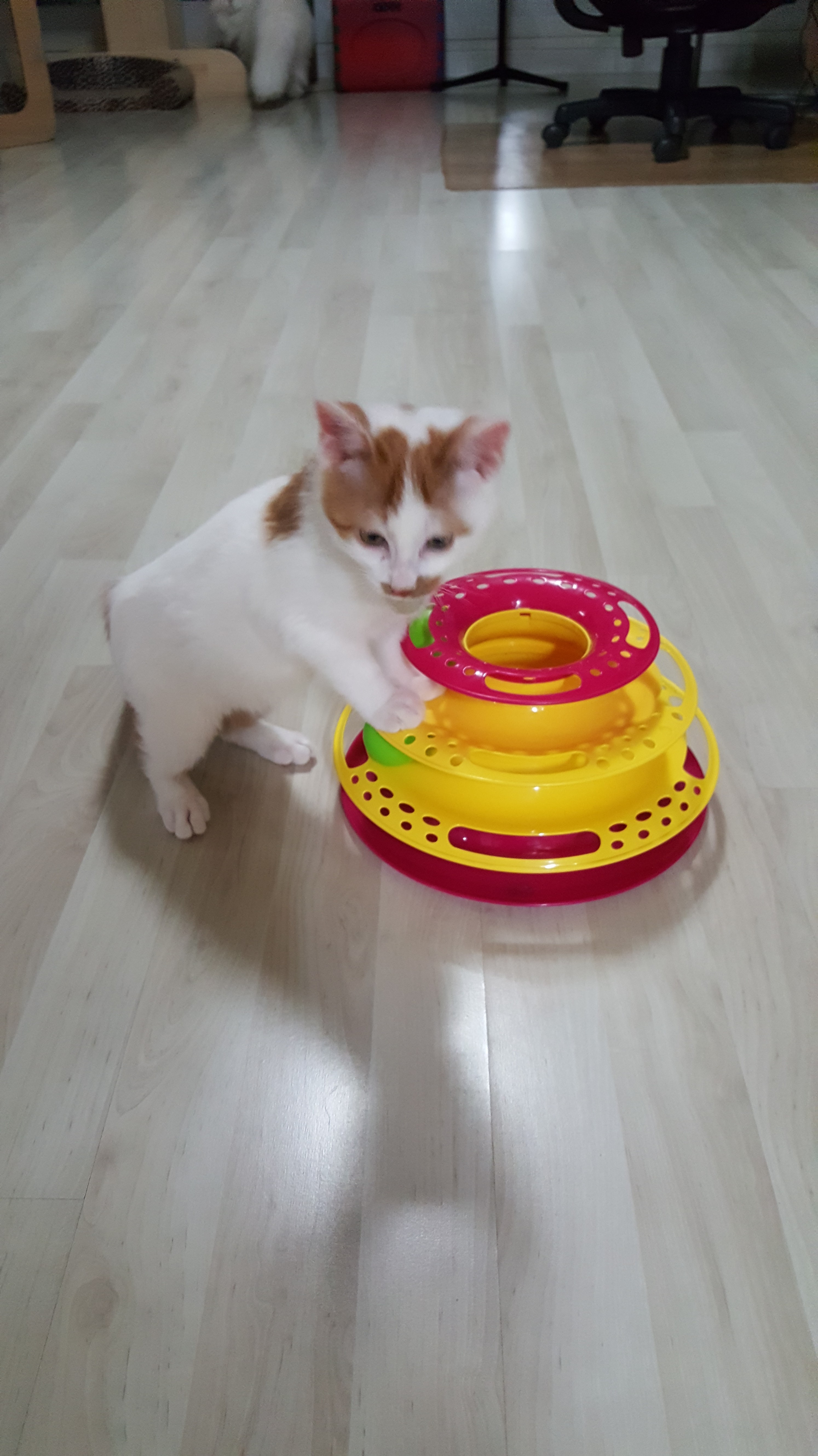 안녕하세요 저는 바로예요