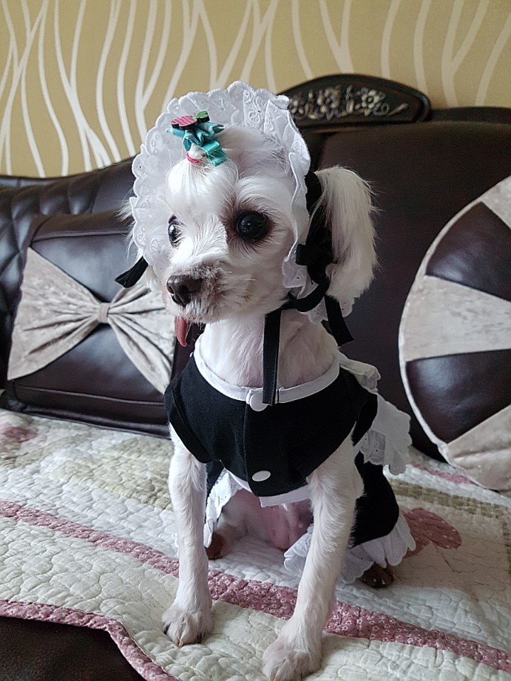 우리의 일곱번째 이야기^^