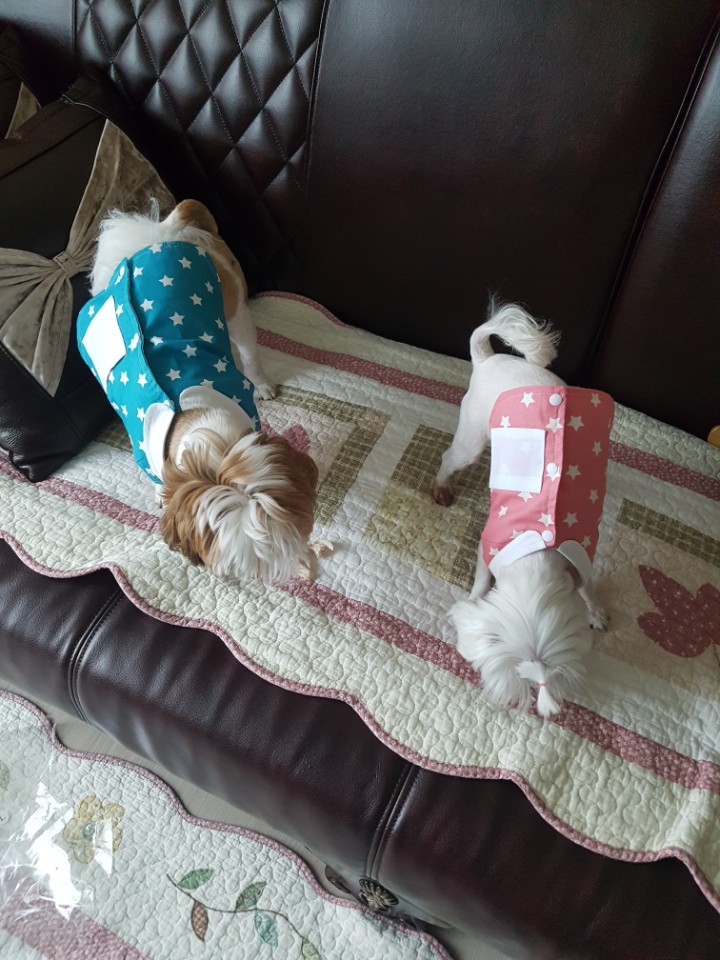 우리의 일곱번째 이야기^^