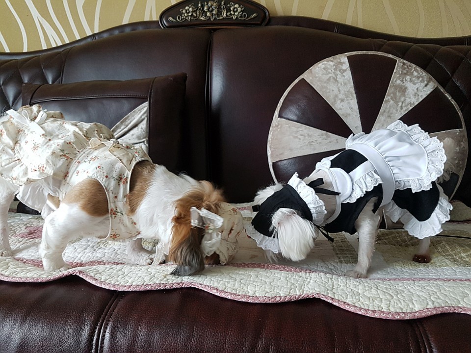 우리의 일곱번째 이야기^^