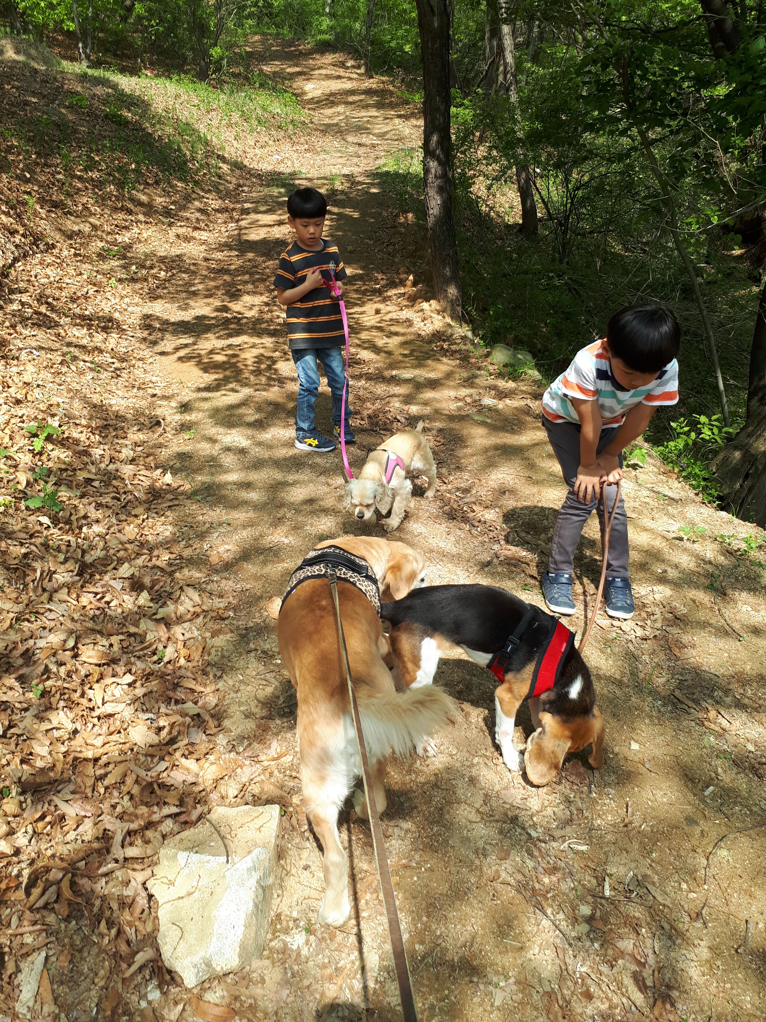 니엘이가 집에 온지 일주일이 되었어요.
