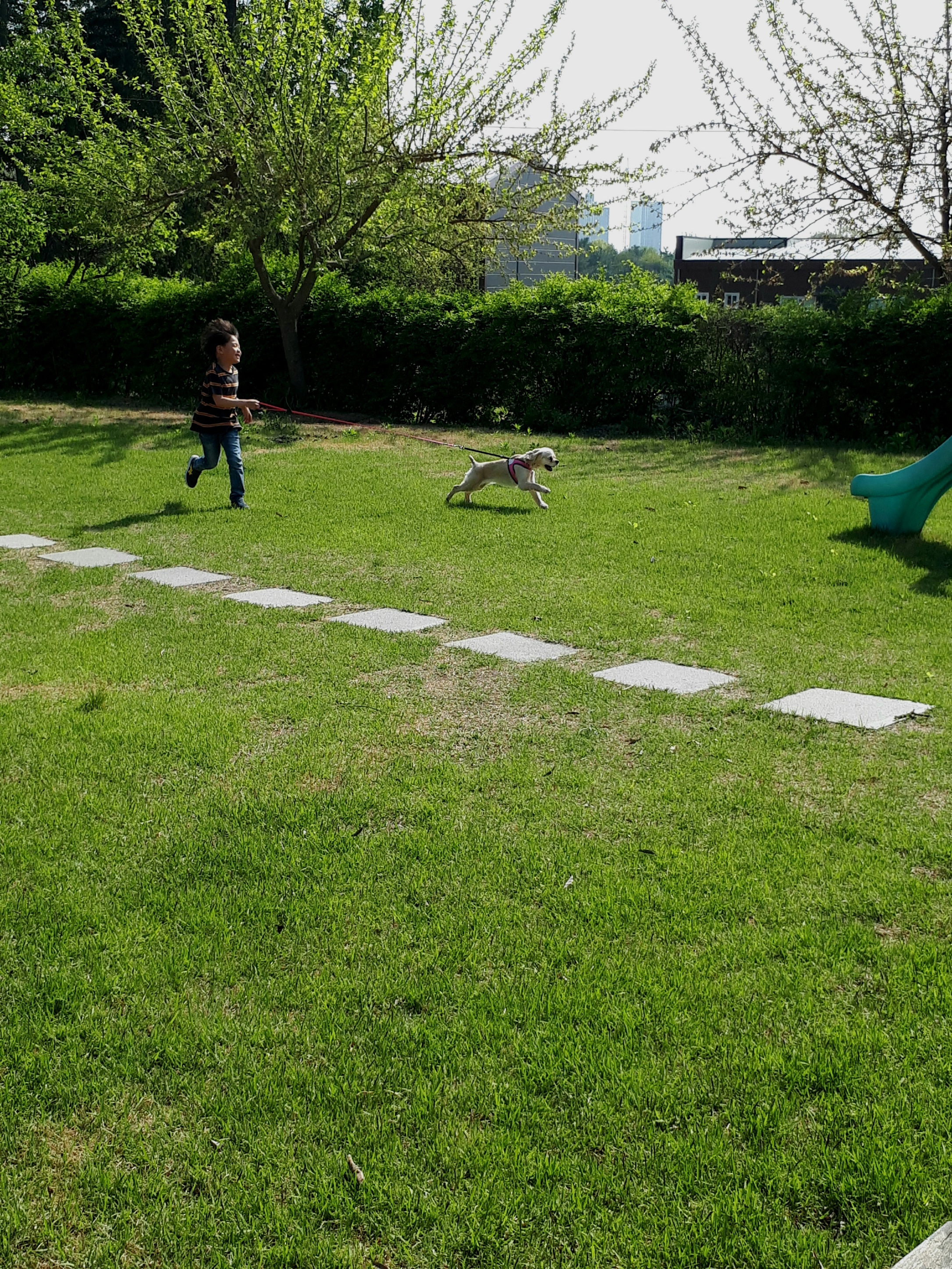 니엘이가 집에 온지 일주일이 되었어요.