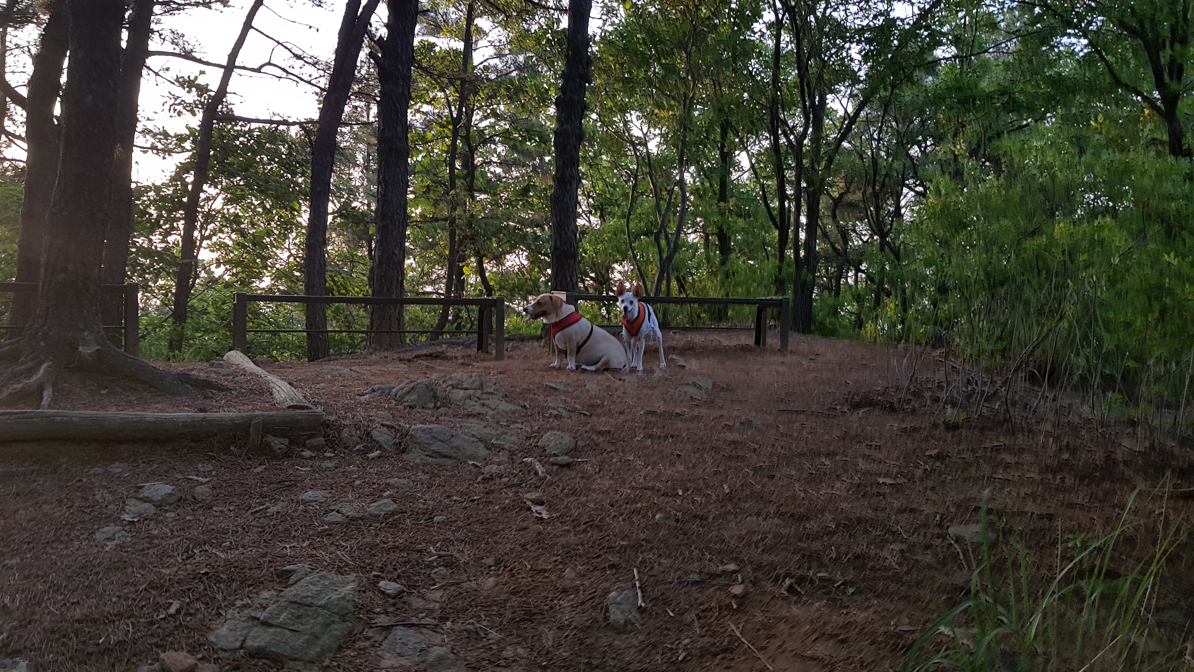 월이 소식입니다