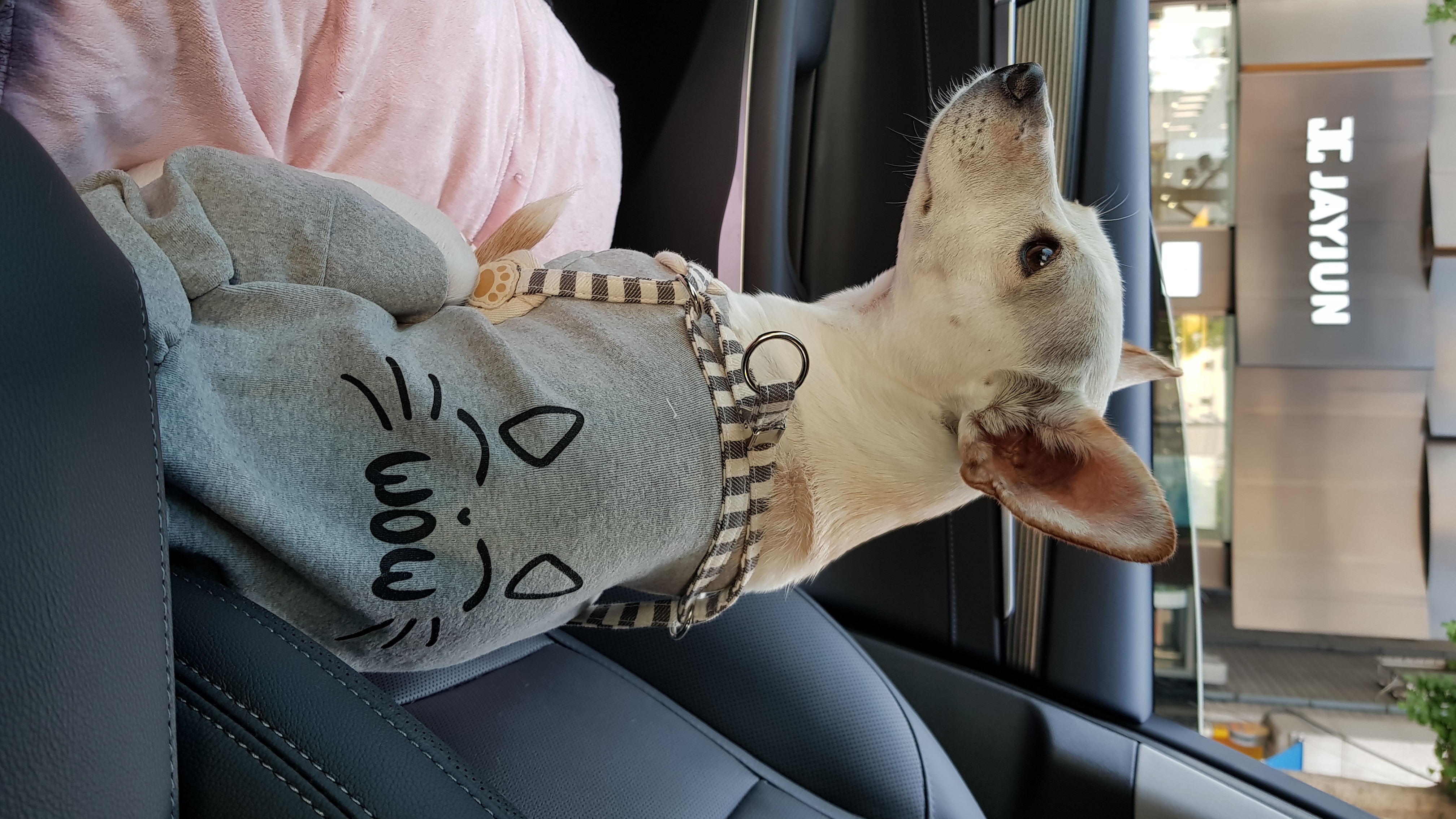 월이 소식입니다