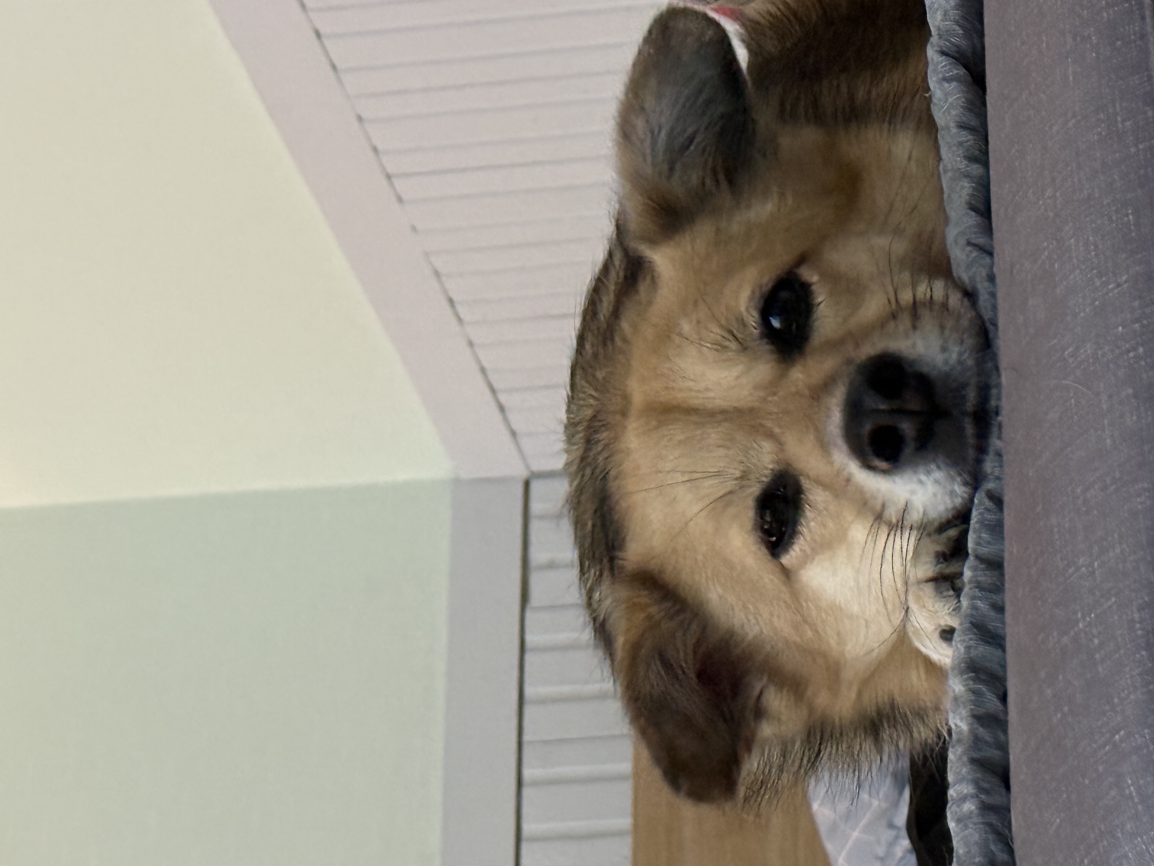 지구와 같이 지낸지 4년이 지났어요.