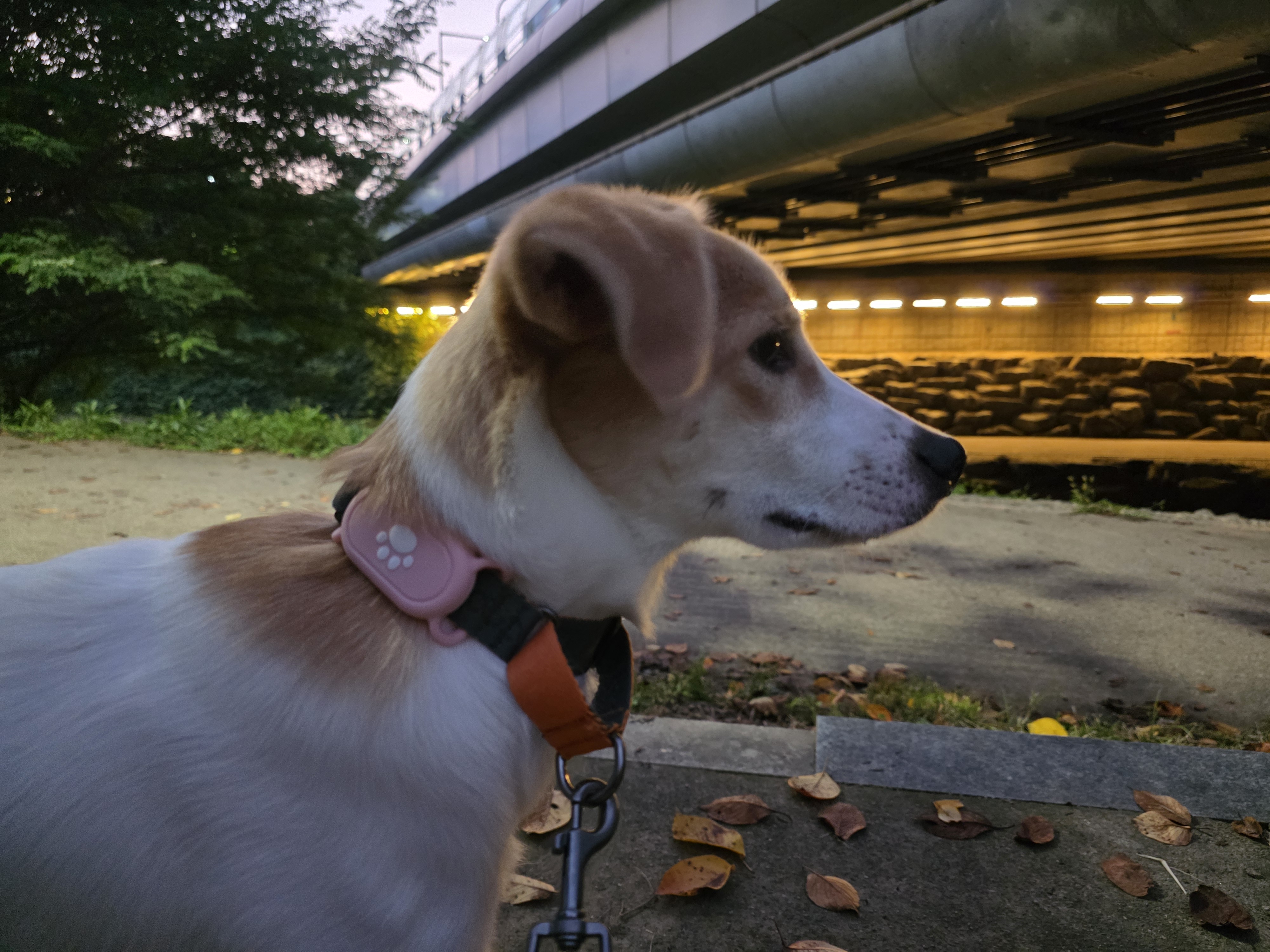 모디 일상을 공유해드려요