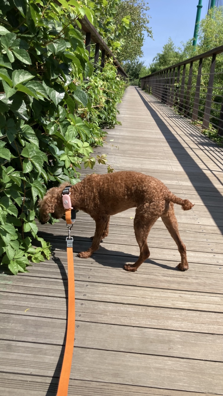 안녕하세요 보사가 왔어요 ~