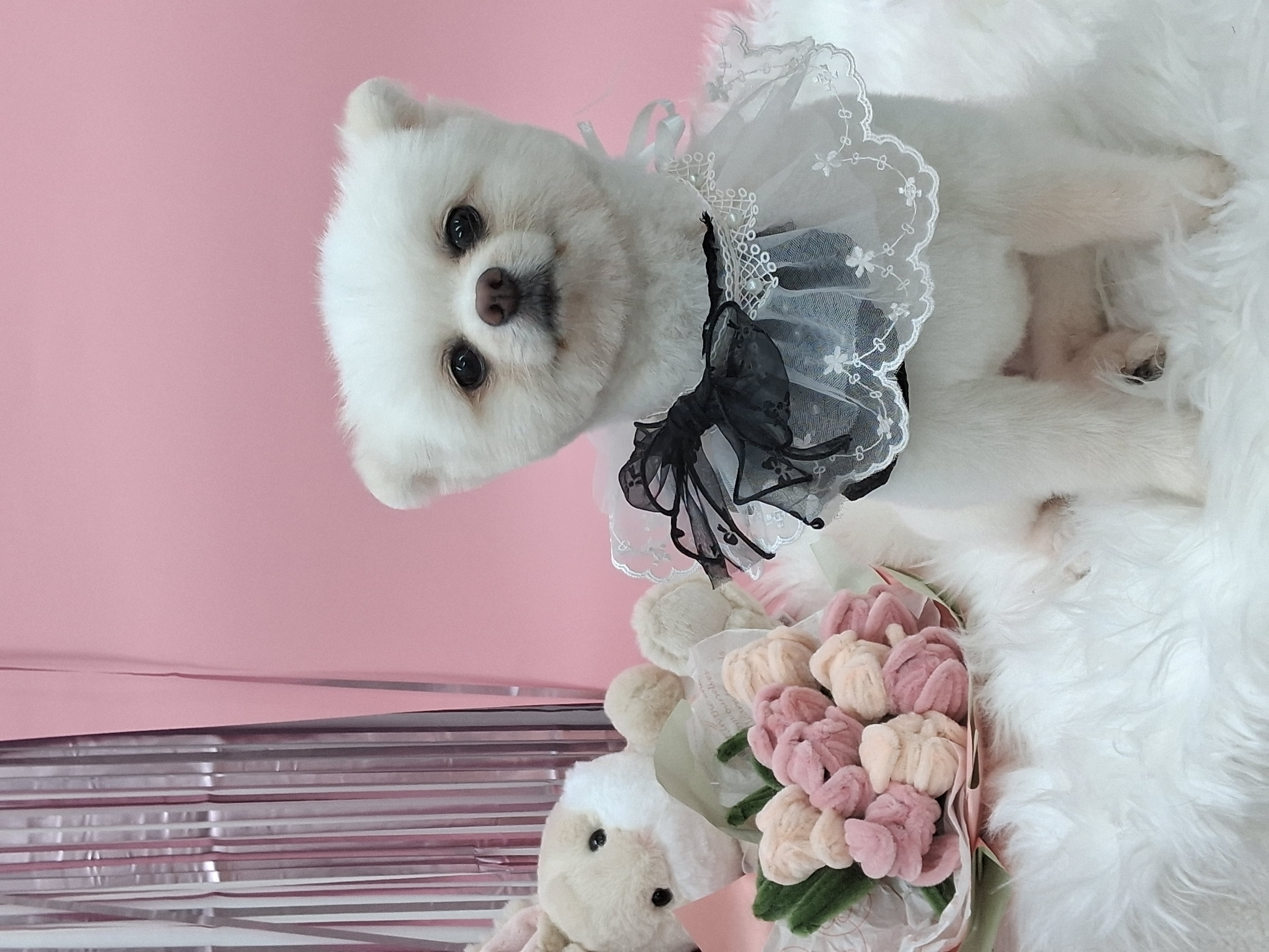 나루(구 빙봉) 일주차 후기