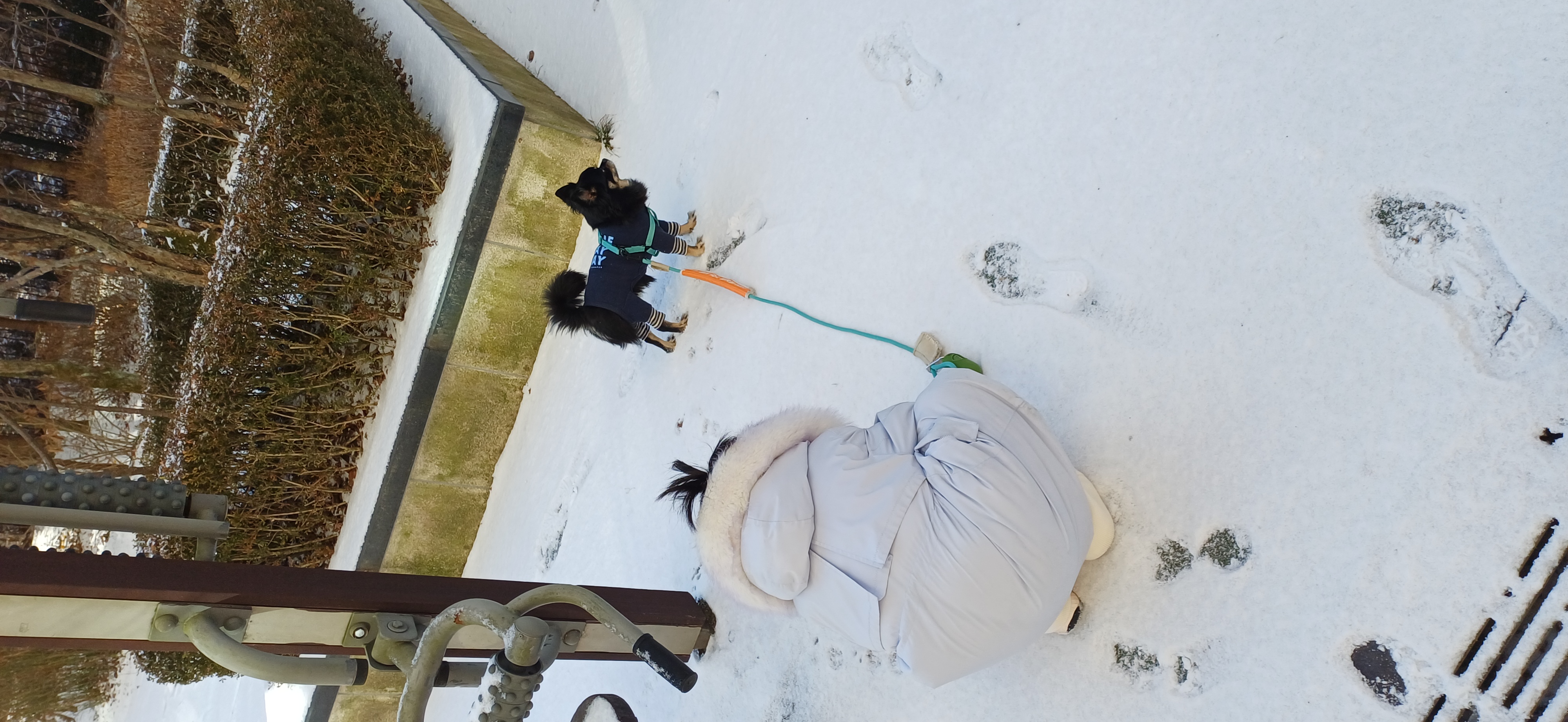 랩몬 소식 올려요~^^(임모7개월차)