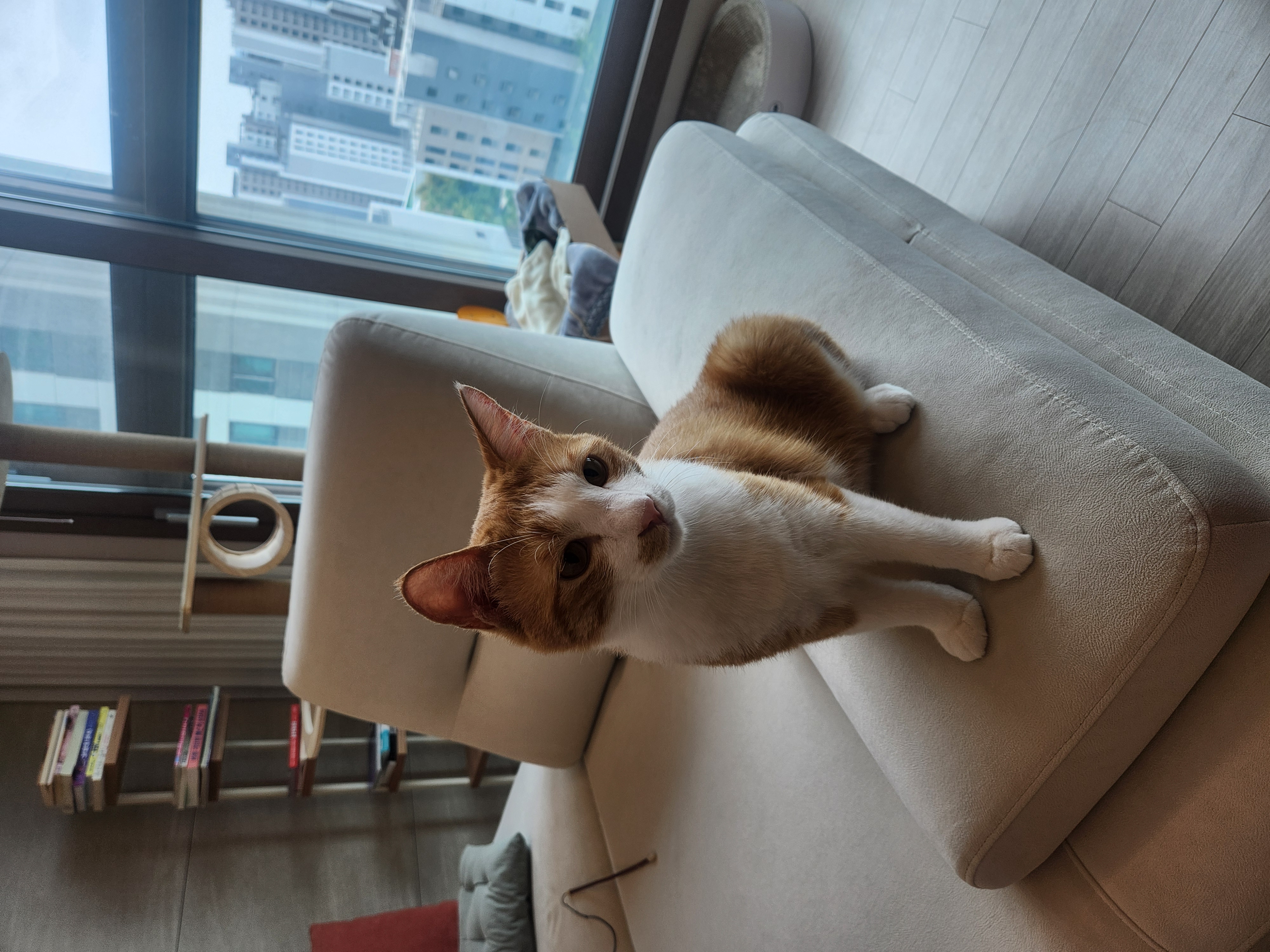 오들이와 함께한 3달 