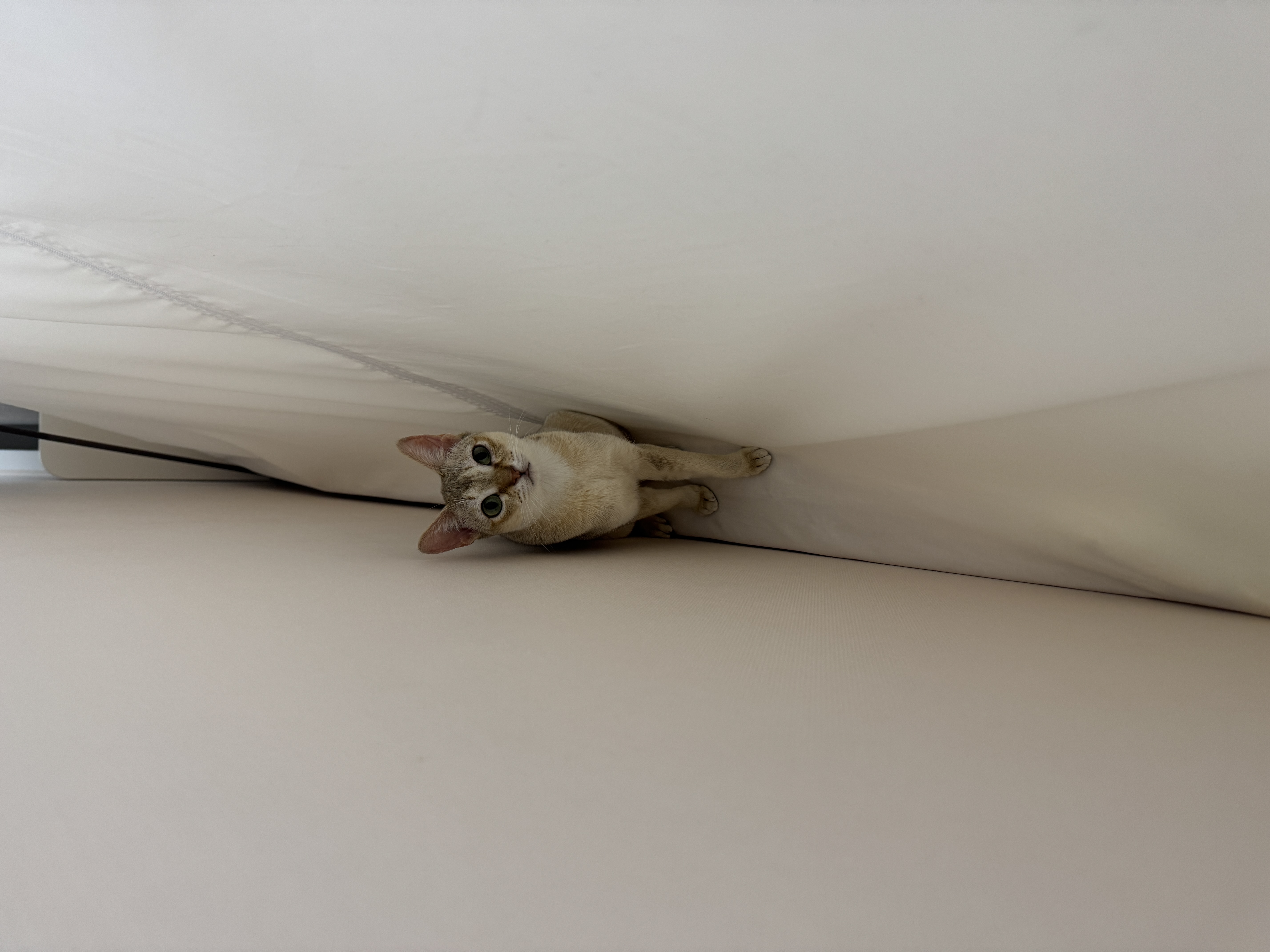 로즈(짜짜)와 함께 한 세 달