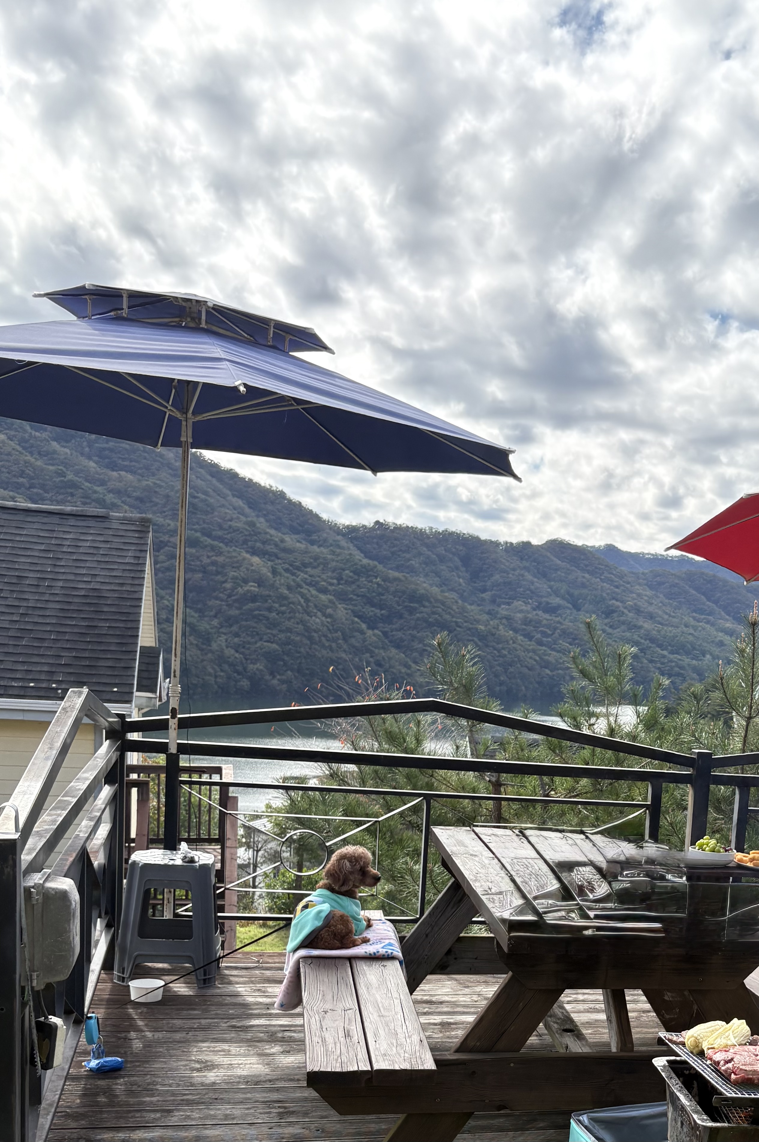 보사의 첫 가족여행~~