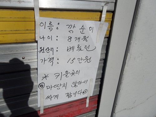 해피빈 데이