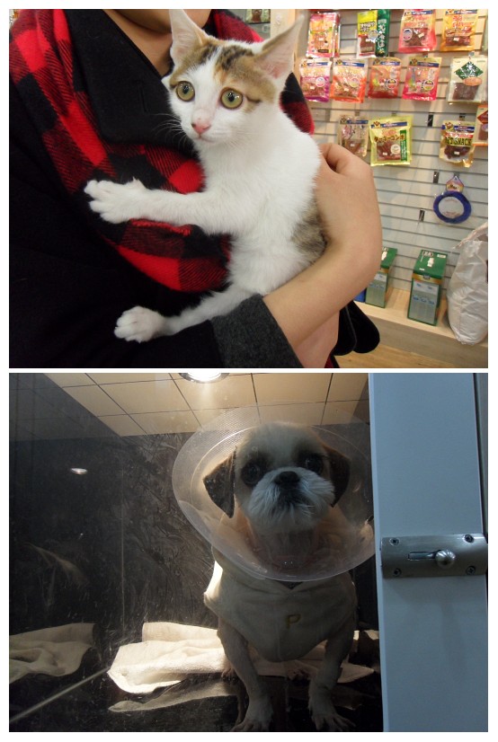 곧 퇴원하는 하나와 퇴원이 불투명한 여주..