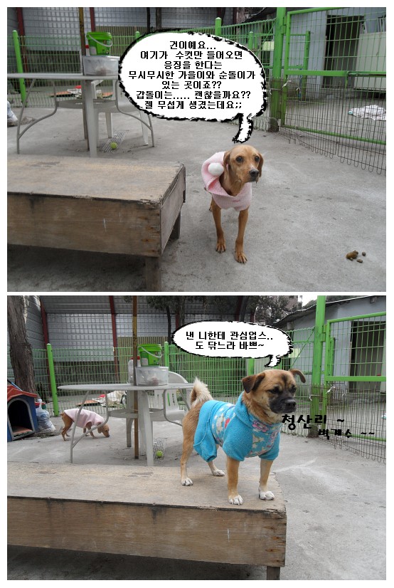 로미오는 떠나고 건이는 들어오고 ~