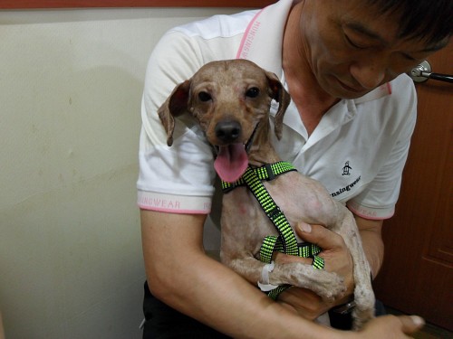 아이들 미용 봉사 해 주실분~