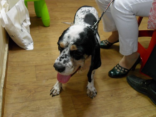 아이들 미용 봉사 해 주실분~