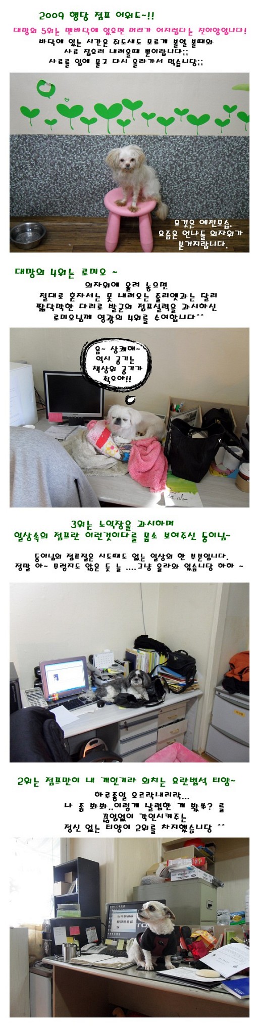 2009 행당 점프 어워드 ~!!