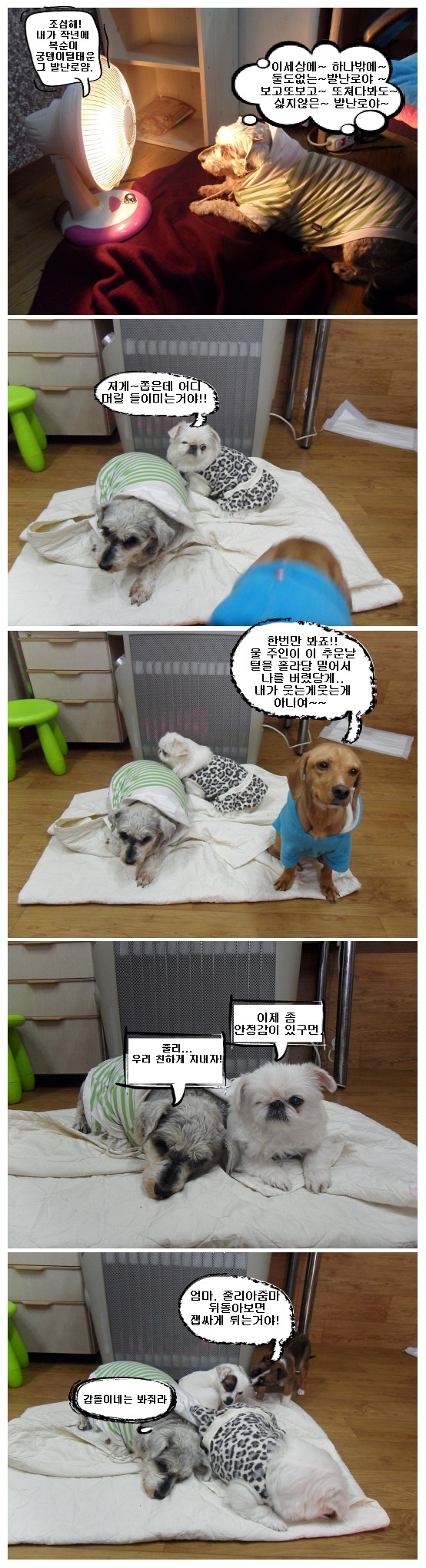 줄리&주디는 겨울이 너무 싫어요;;