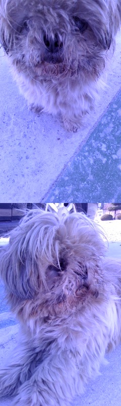 부산지역 회원님들께 도움 요청합니다!!