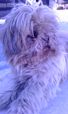 부산지역 회원님들께 도움 요청합니다!!