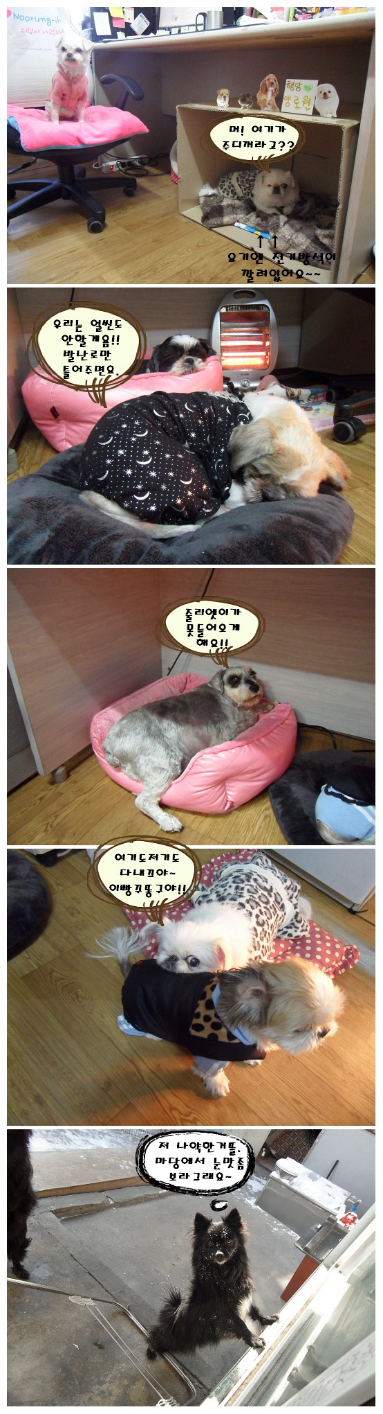 행당양로원 개장과 여전히 미쳐있는 포순양^^;;