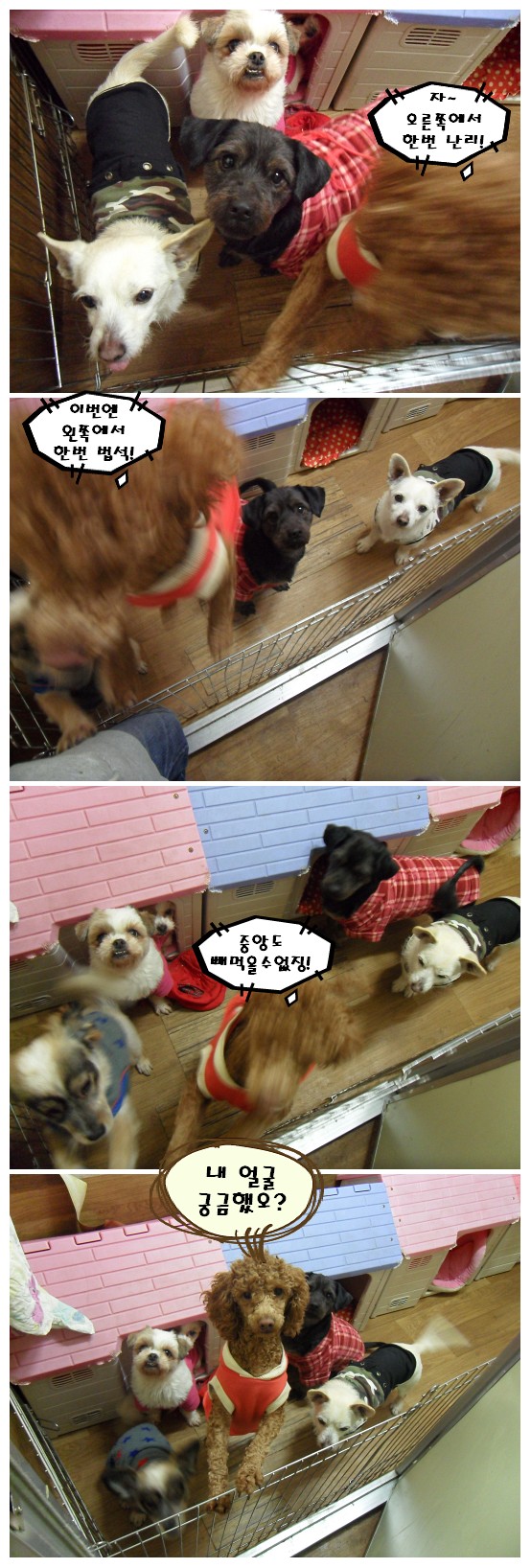 행당양로원 개장과 여전히 미쳐있는 포순양^^;;