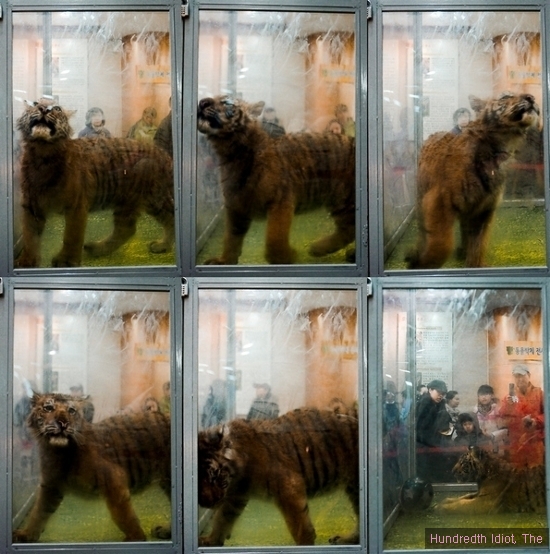 노원구청을 직접 방문하신 회원님의 가슴아픈 사진 - 꼭보세요!