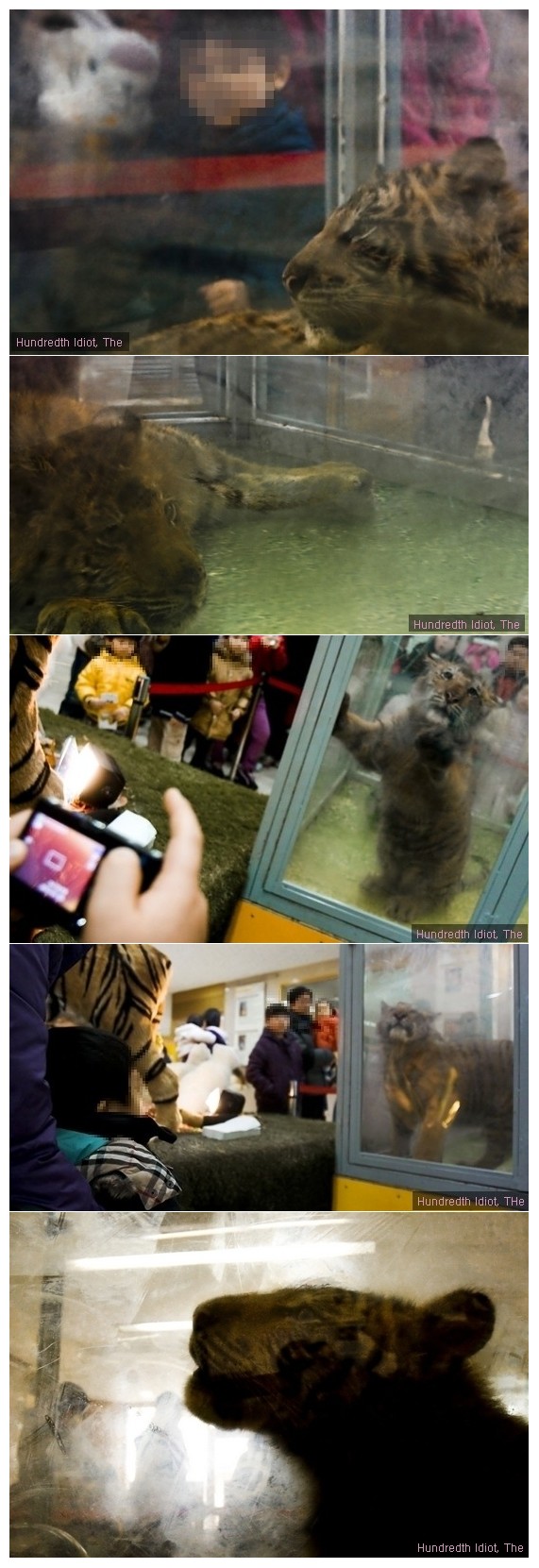 노원구청을 직접 방문하신 회원님의 가슴아픈 사진 - 꼭보세요!