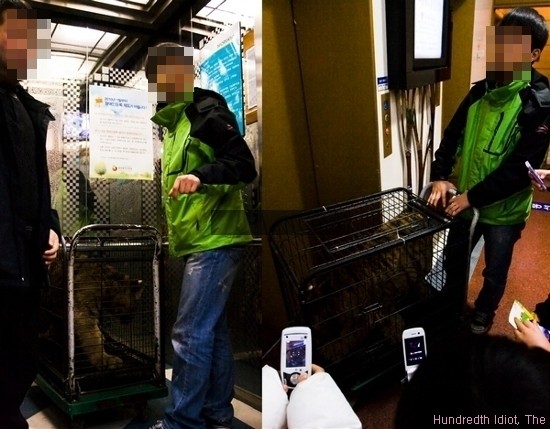 노원구청을 직접 방문하신 회원님의 가슴아픈 사진 - 꼭보세요!