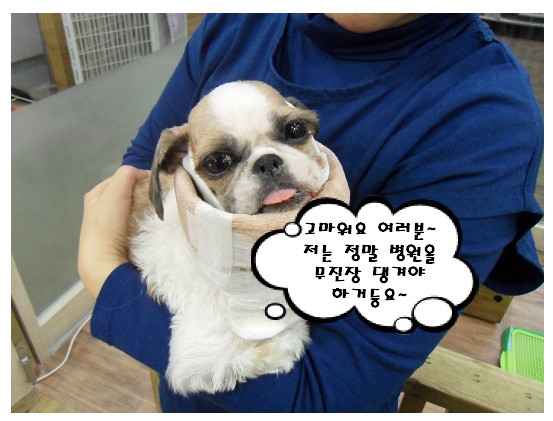 [우리의 성과]기획재정부, 애완동물진료 부가가치세 과세 철회!!