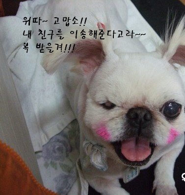 이송을 도와주신 모든 분들께 감샤~