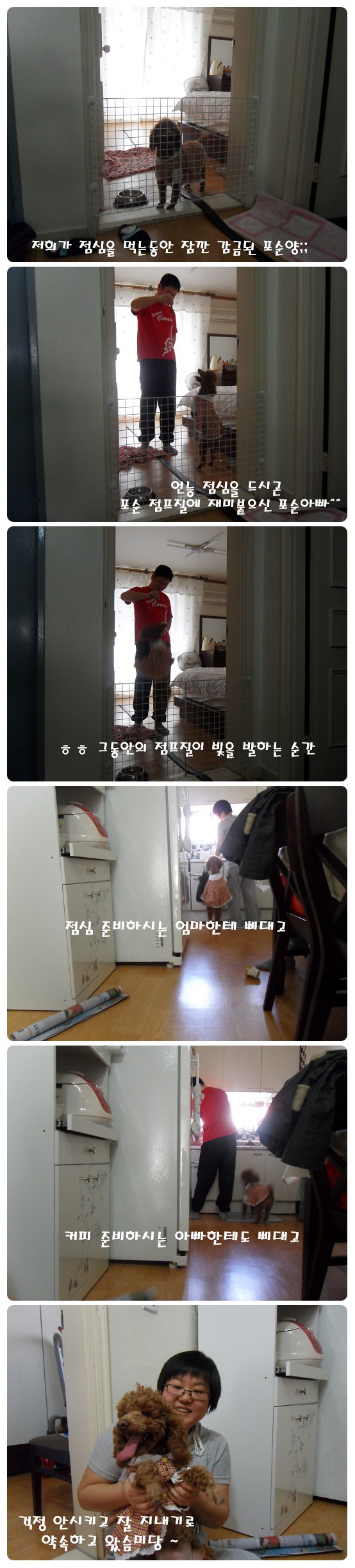 ㅎㅎ 포순이 입양간거 알고 계시나용~?