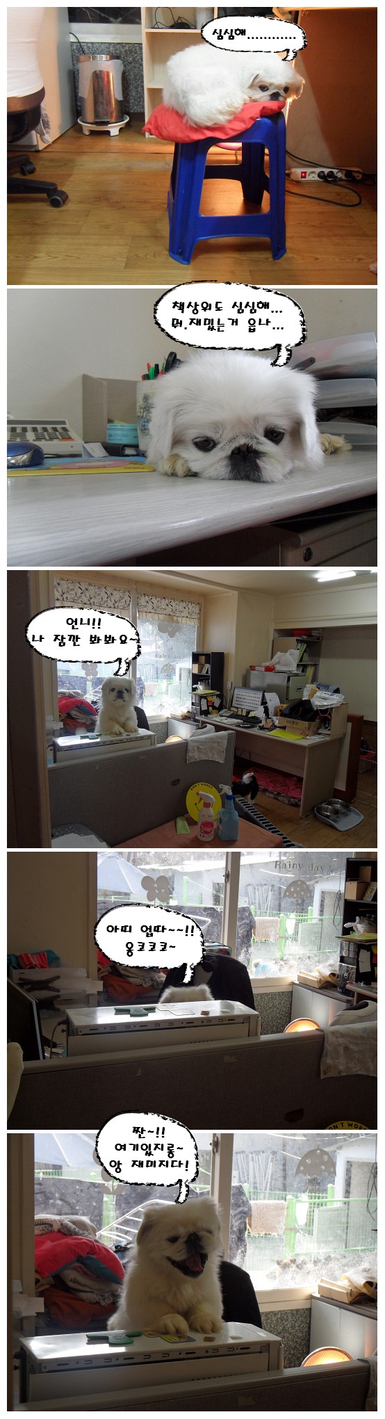 아띠의 취미생활 ~