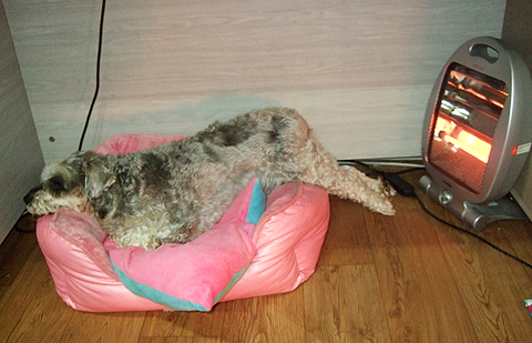 쥬디의 섹시 포즈~