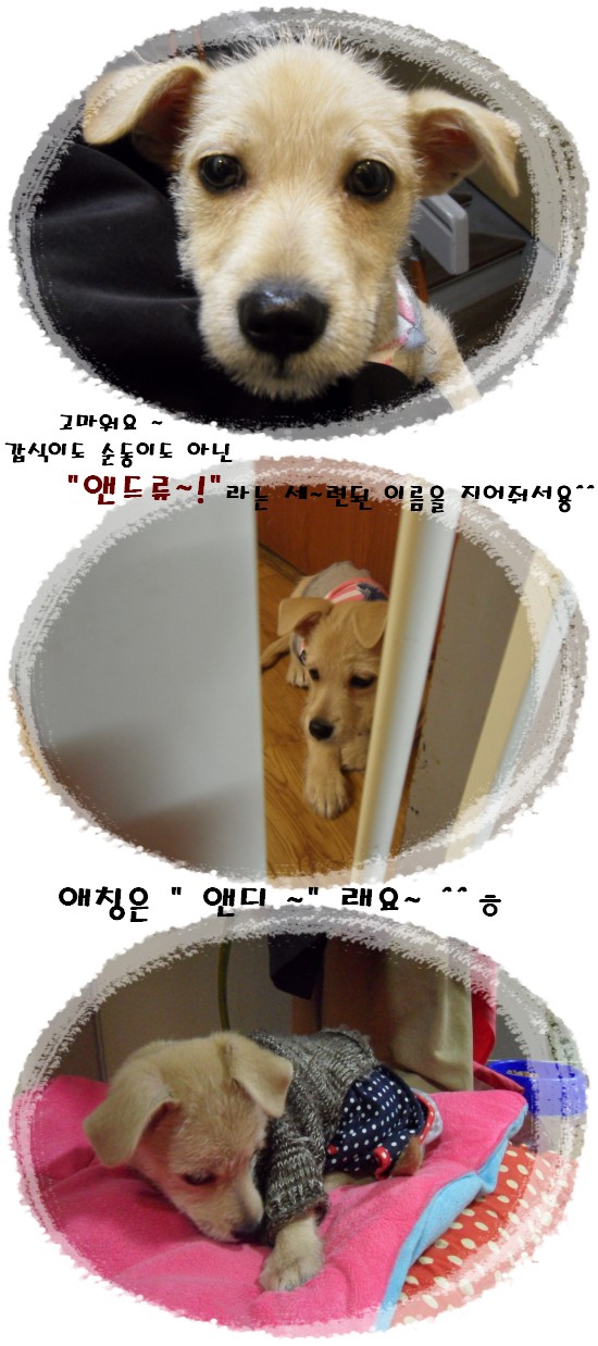 <초절정 꽃미남 앤드류>동자련 대문앞으로 찾아오다!!