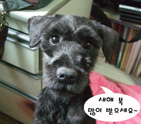 구정 맞이 선물로 아이들에게 패드 보내주실 분~