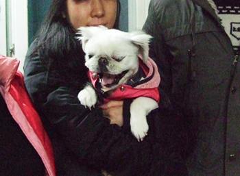 아띠의 특기는?